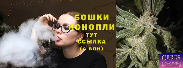 гашик Заволжск