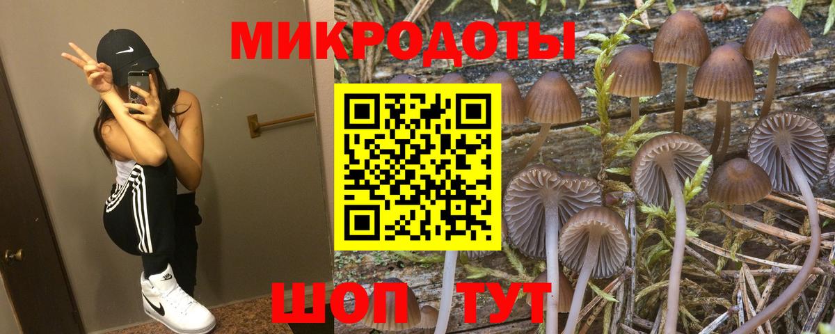 Псилоцибиновые грибы мицелий  Псилоцибиновые грибы Psilocybine cubensis  Чапаевск  Вход с VPN 
